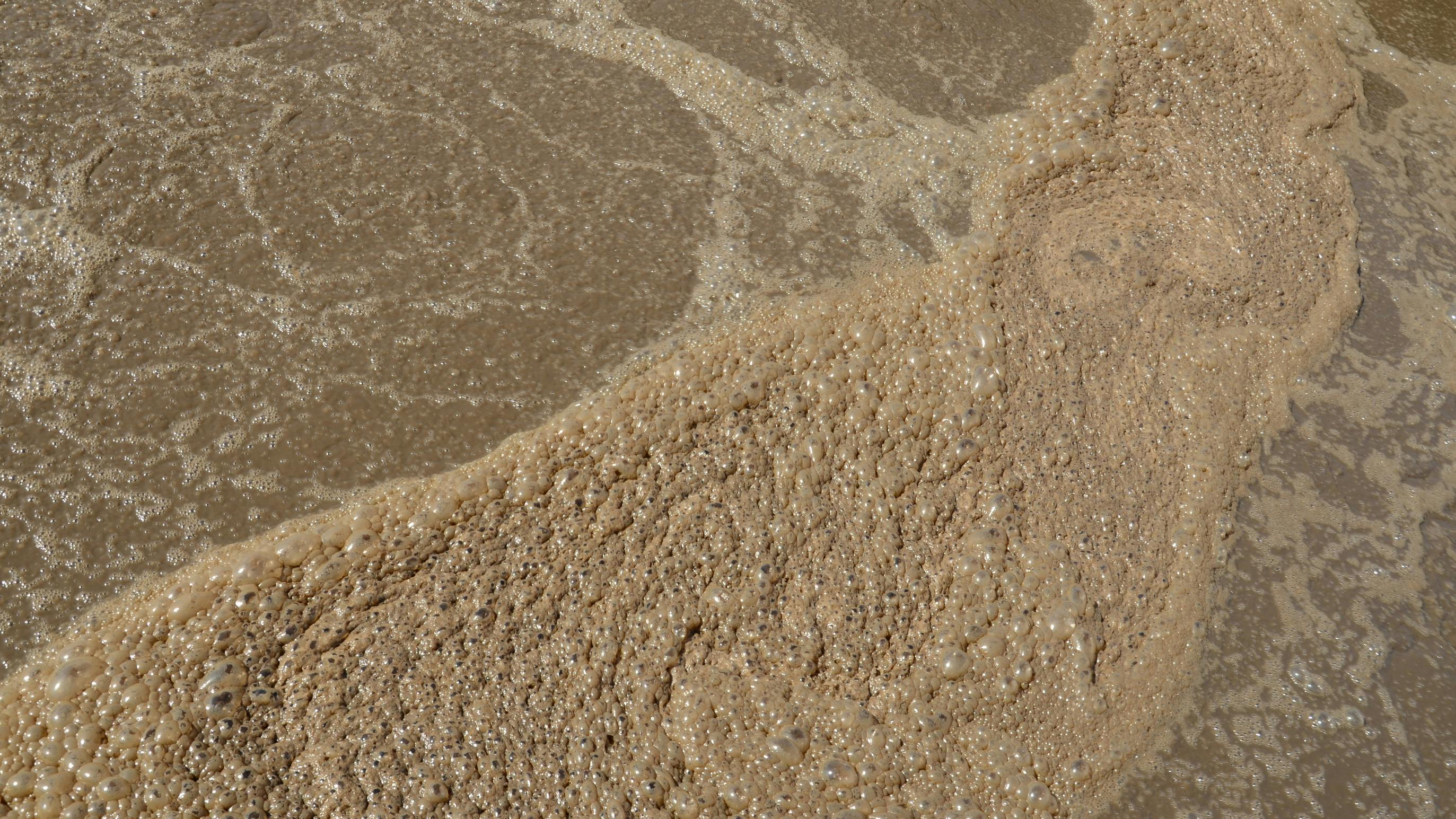 A view of sludge processing in a wastewater treatment plant