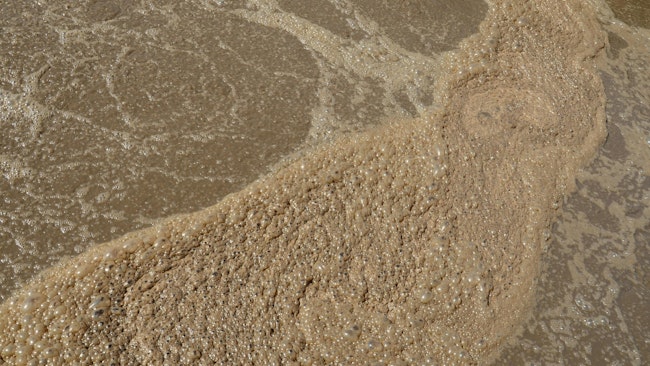 A view of sludge processing in a wastewater treatment plant