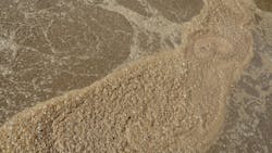 A view of sludge processing in a wastewater treatment plant A view of sludge processing in a wastewater treatment plant