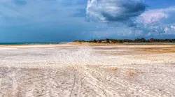 Aftermath of Hurricane Michael near St. Joe State Park. Aftermath of Hurricane Michael near St. Joe State Park.