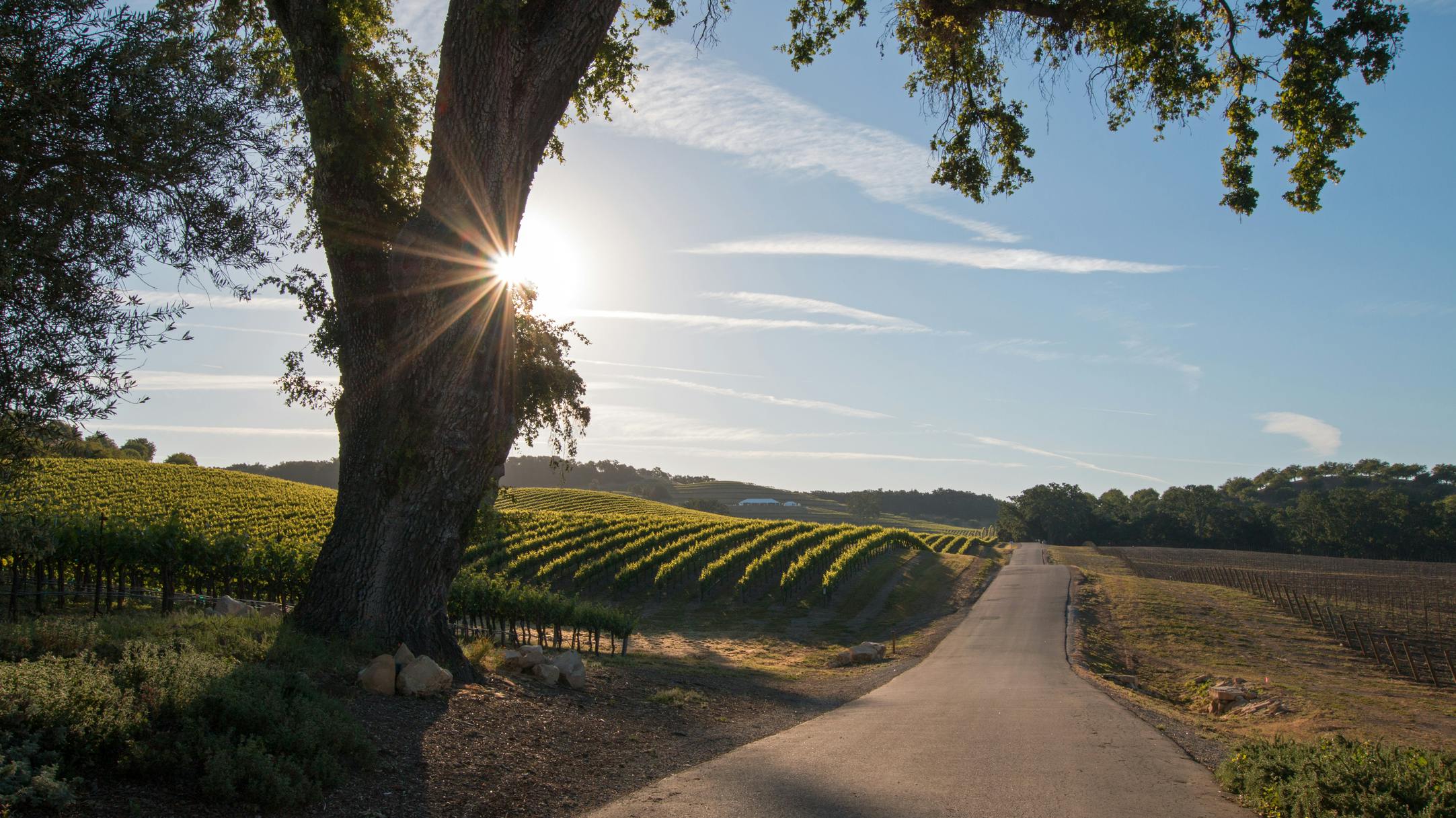 California State Water Board appoints administrator to provide wastewater services in East Orosi