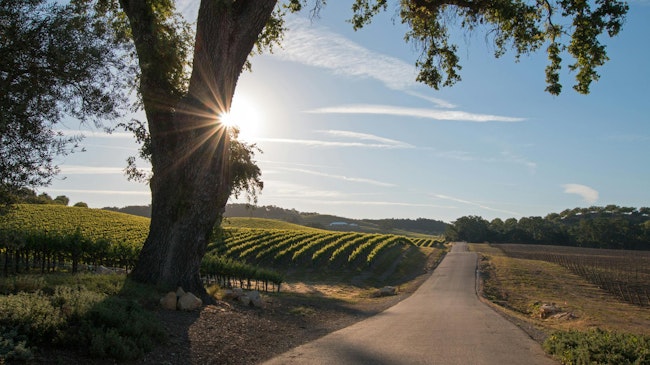 California State Water Board appoints administrator to provide wastewater services in East Orosi