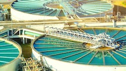 shutterstock_2460517801 shutterstock_2460517801