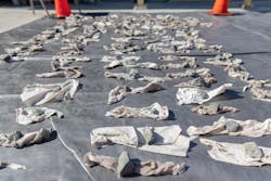 rfa_sewage_collection_study rfa_sewage_collection_study