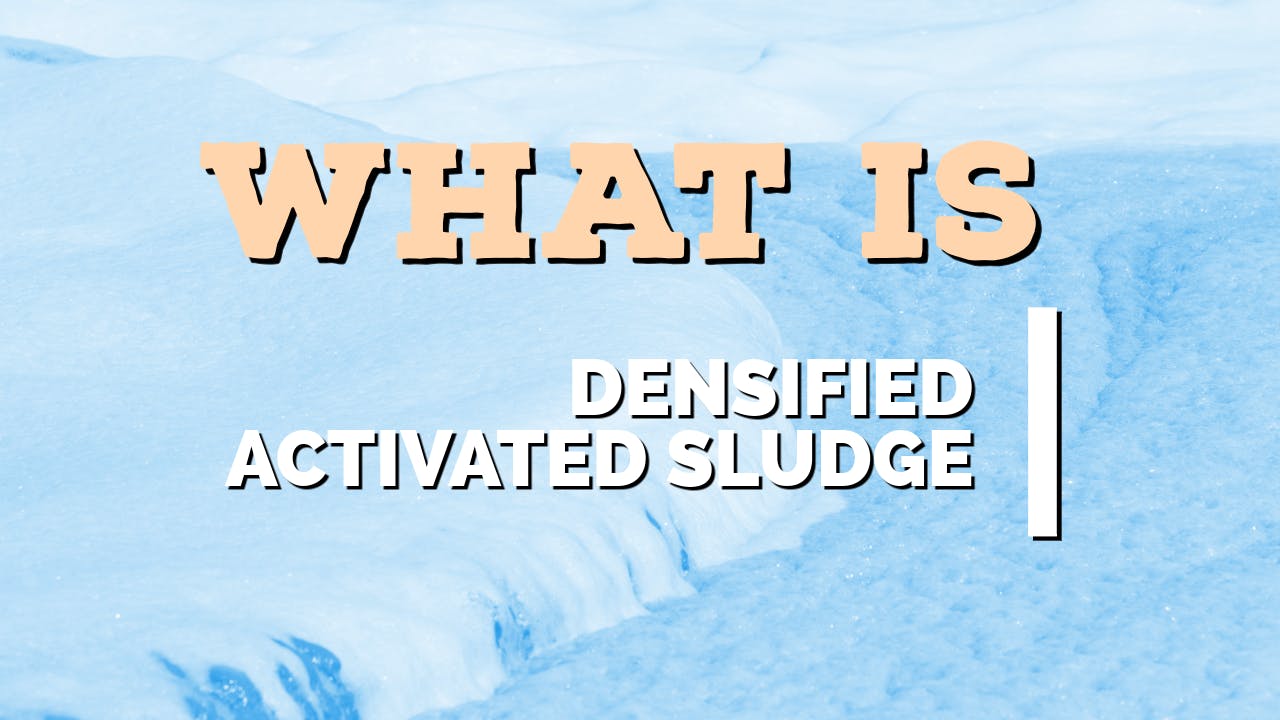 what_is_densified_activated_sludge