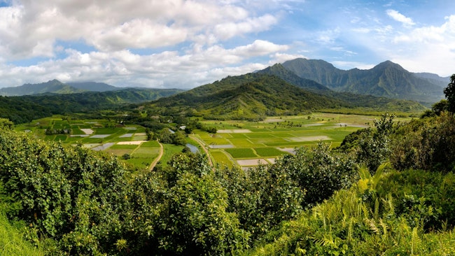 EPA secures cesspool closures, settlements in Kauai to protect groundwater
