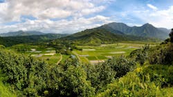 EPA secures cesspool closures, settlements in Kauai to protect groundwater EPA secures cesspool closures, settlements in Kauai to protect groundwater