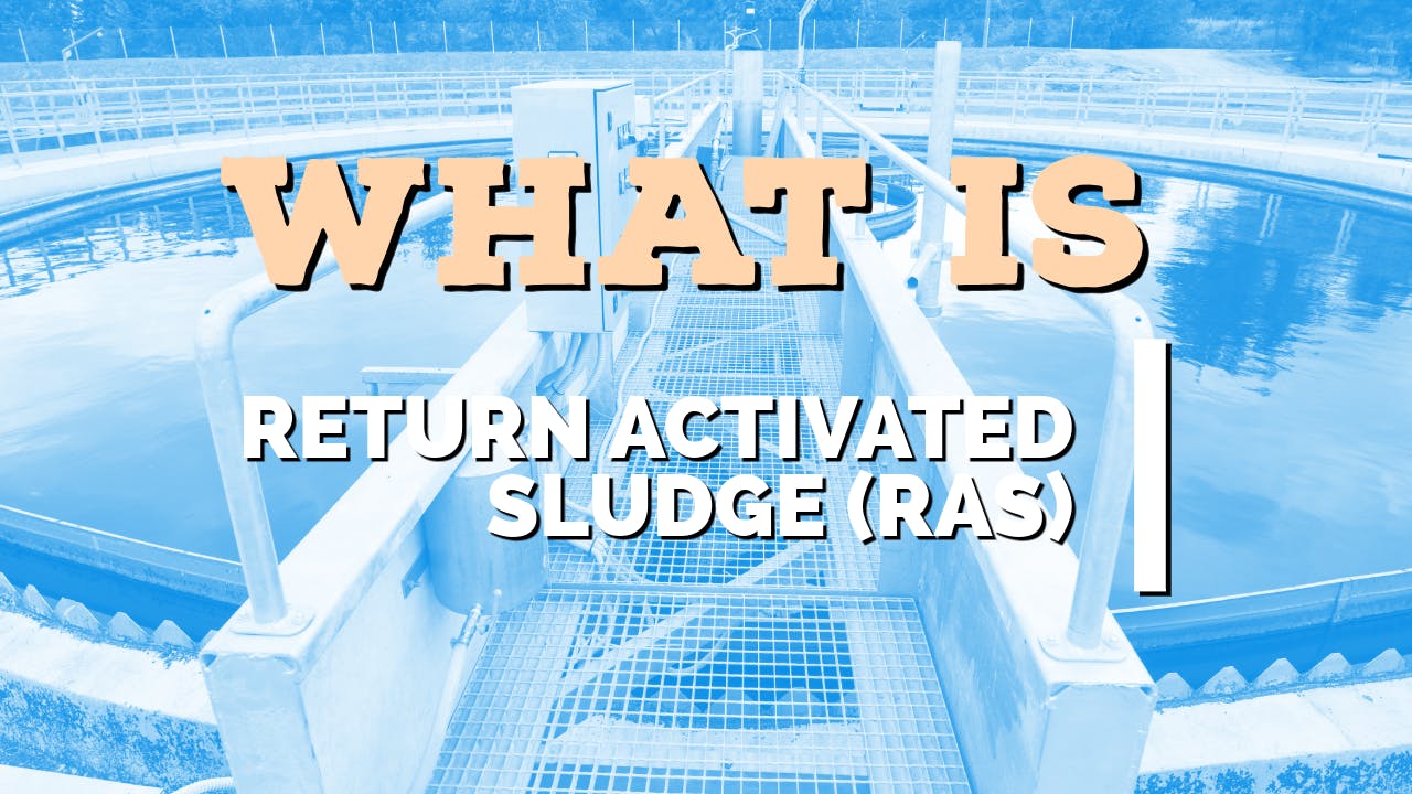 What is return activated sludge (RAS)?