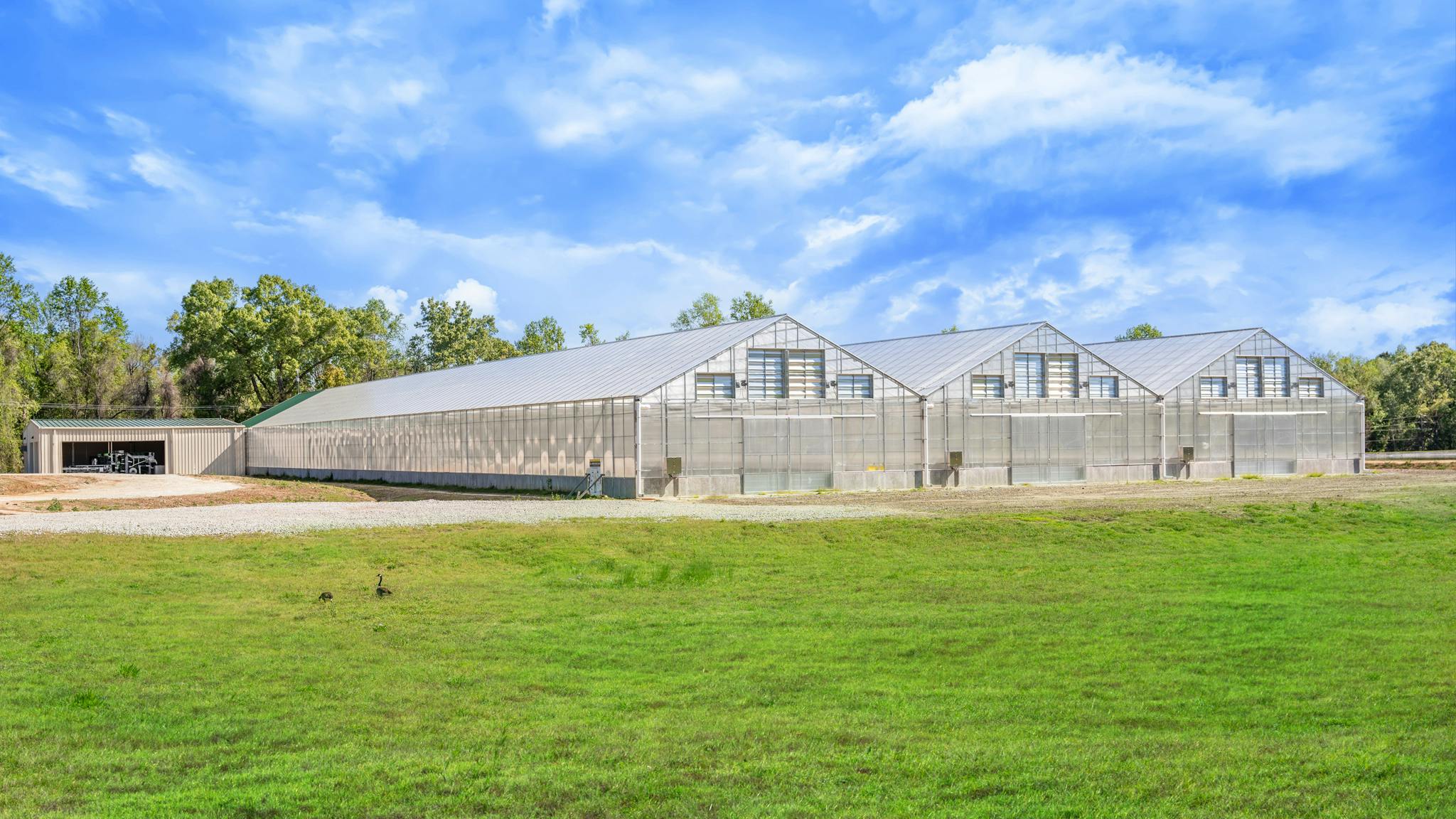 Summerville WWTP biosolids solar dryers
