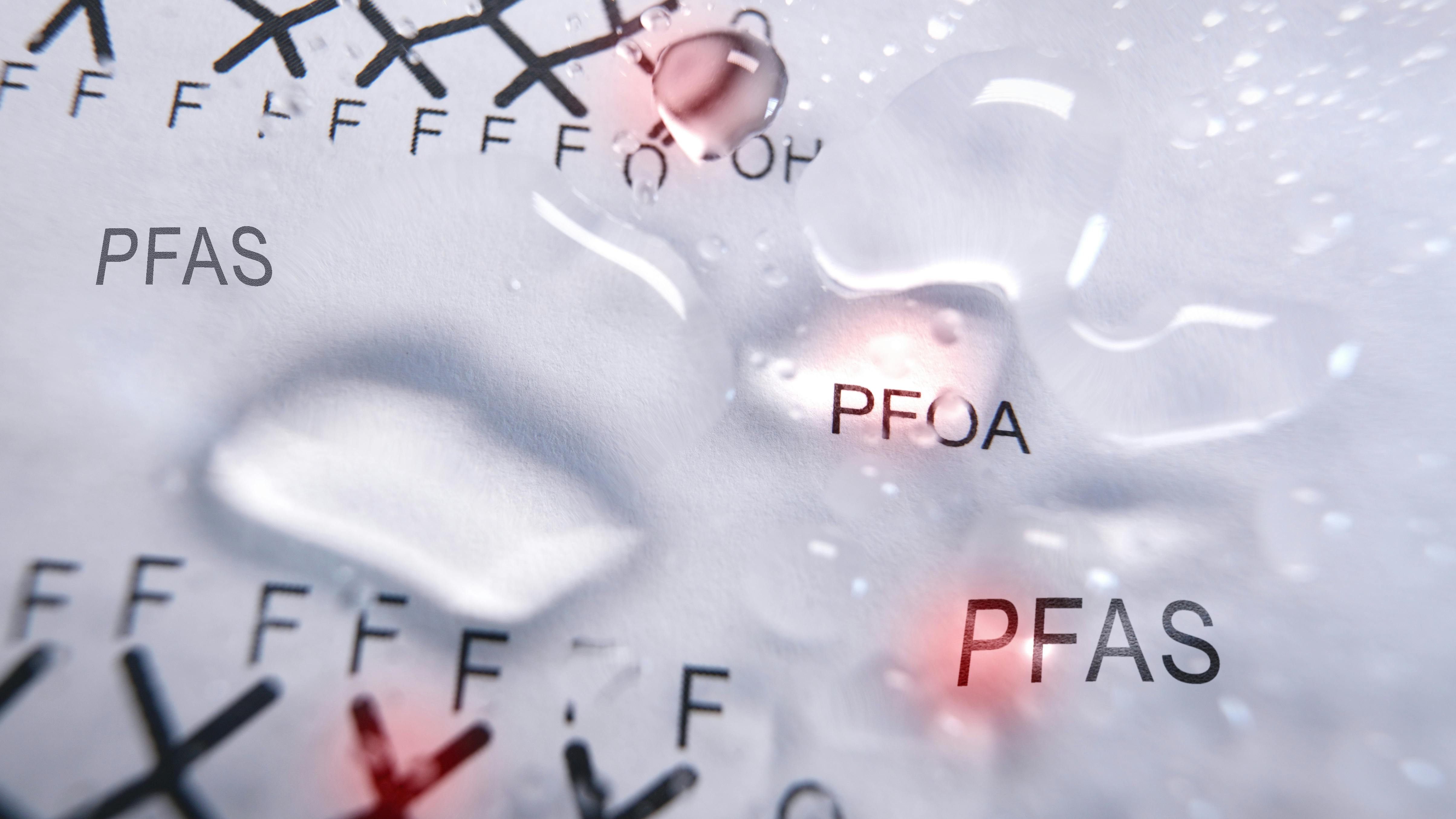 dreamstime_xxl_333687743