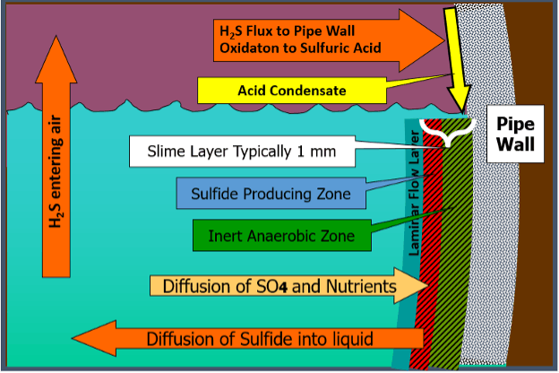 Figure 1. Graphic of a pipe with a slime layer Figure 1. Graphic of a pipe with a slime layer