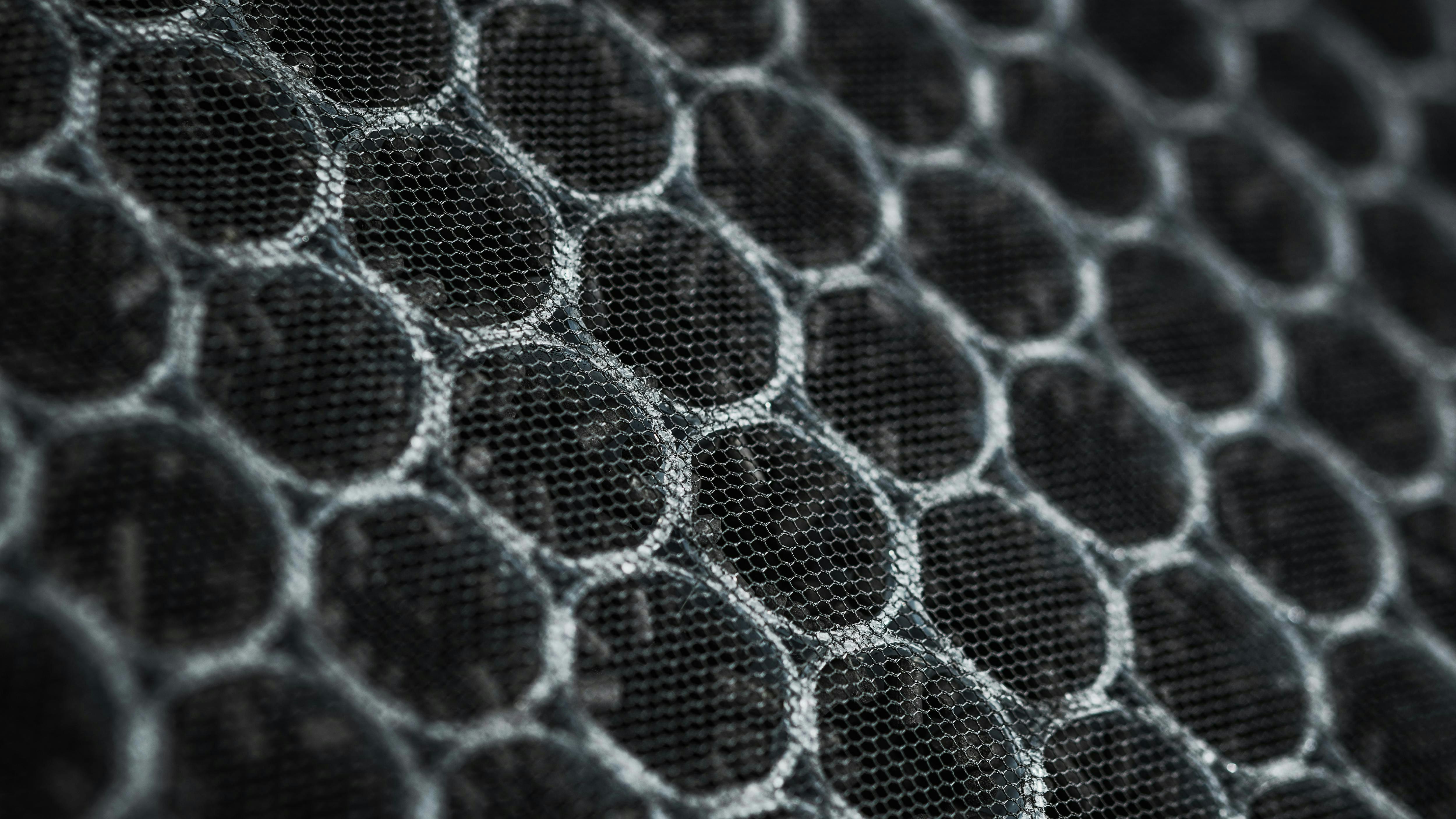 69617f03a6dc67197098aaf6 Dreamstime Xxl 216817036