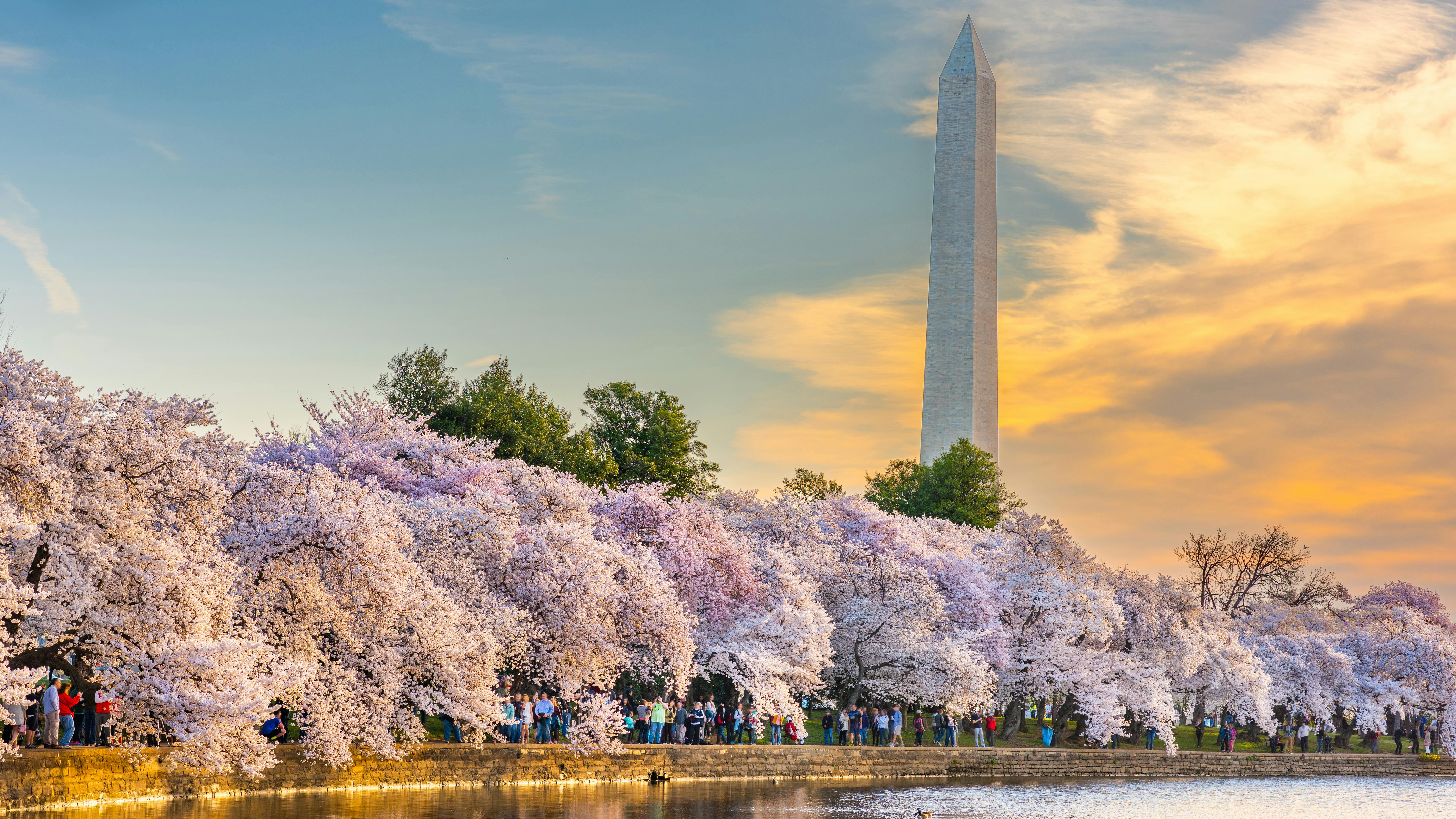 6967b707af3bc6b062bedeeb Dreamstime Xxl 171339018