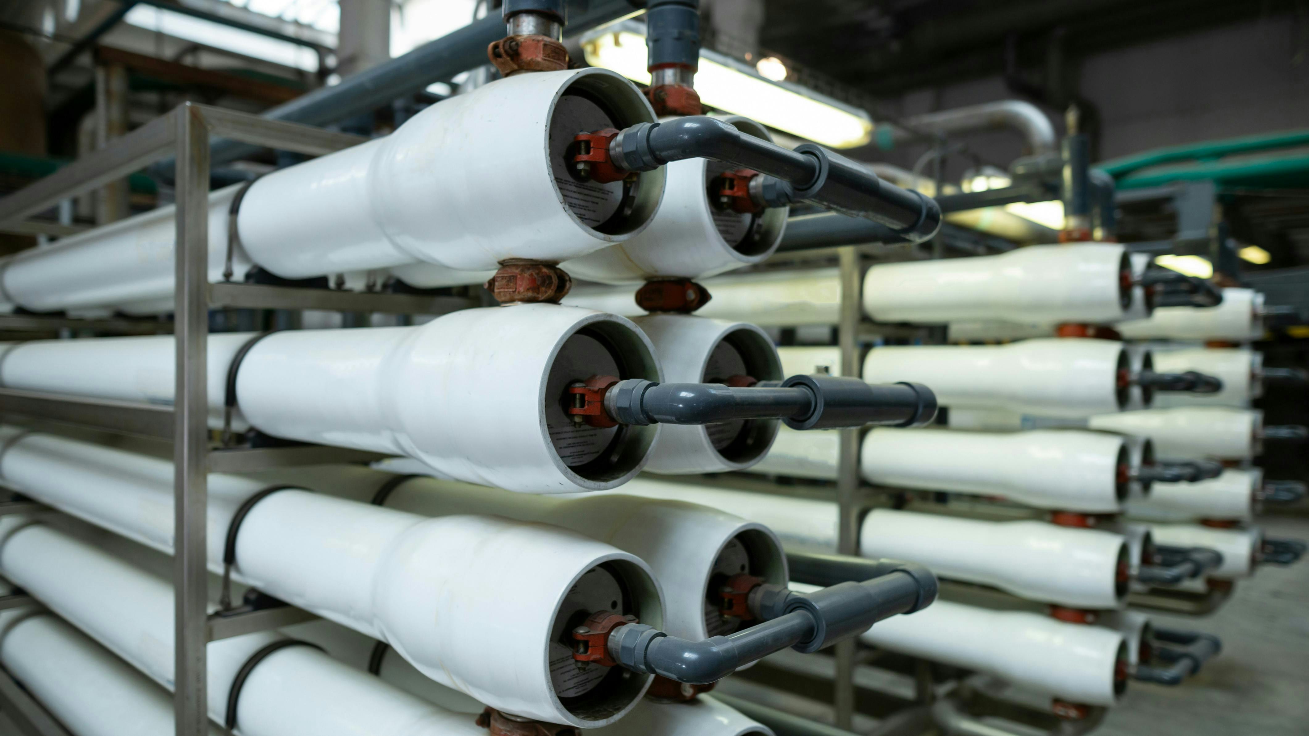 6995d5691a0d35c317324d2d Dreamstime Xxl 283460084