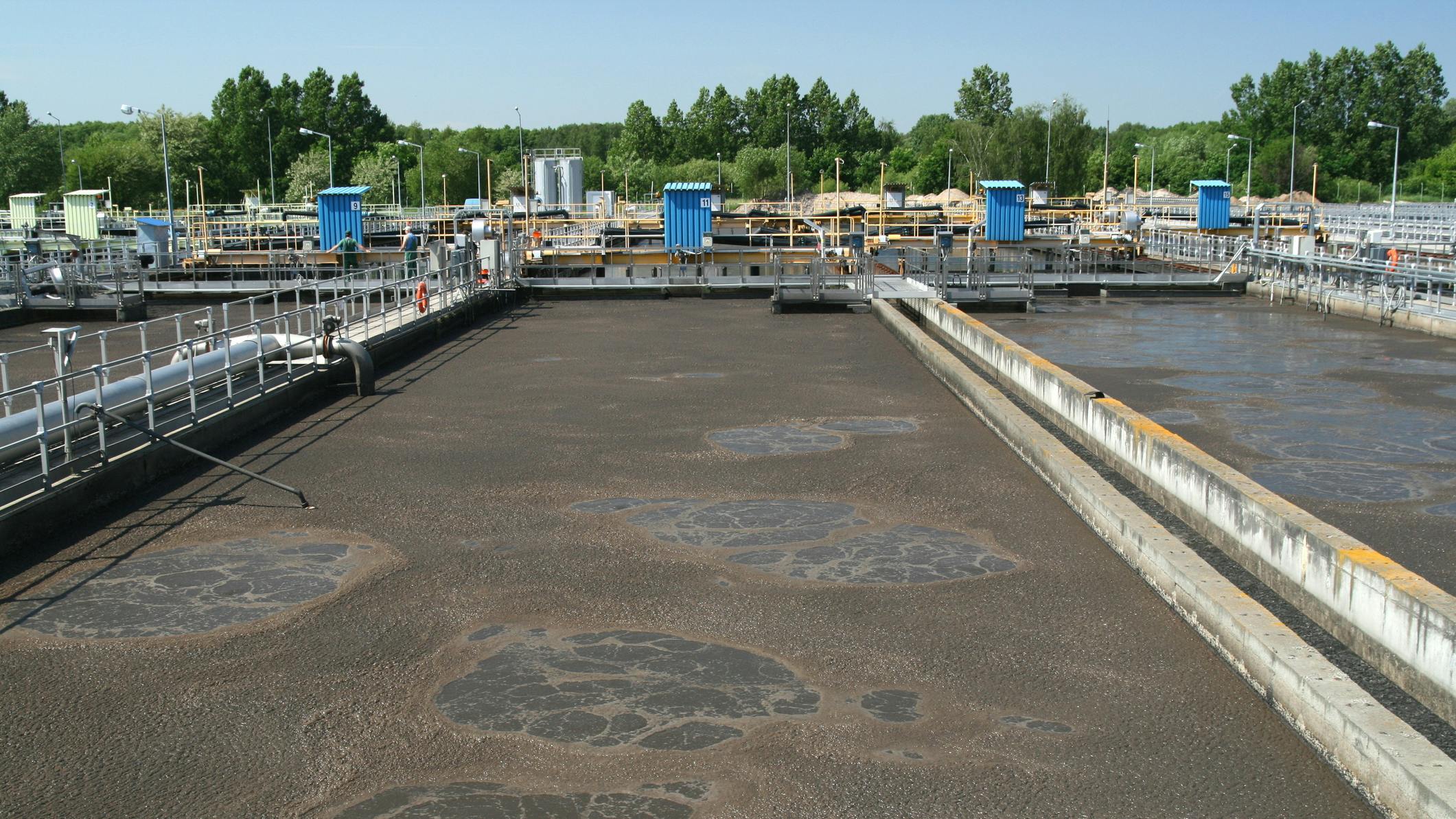 Cost-effective strategies for managing grease and odors in municipal wastewater systems