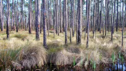 69cc3c9cb3e77b7831c07a5c Dreamstime Xxl 94147168 69cc3c9cb3e77b7831c07a5c Dreamstime Xxl 94147168