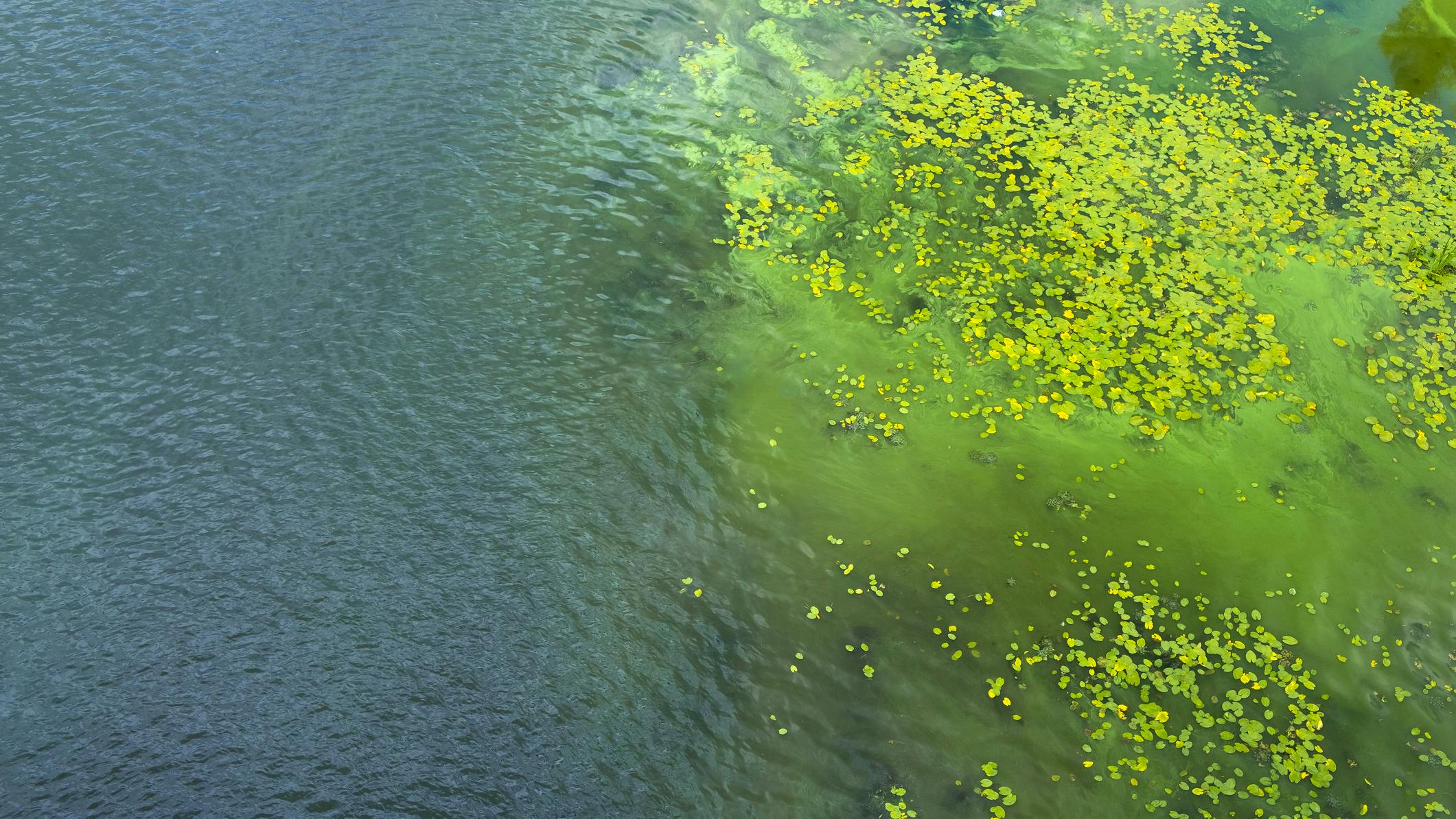 SePRO acquires Earth Science Laboratories to expand water treatment portfolio