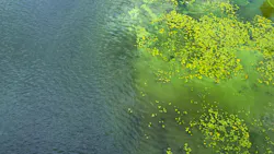 SePRO acquires Earth Science Laboratories to expand water treatment portfolio SePRO acquires Earth Science Laboratories to expand water treatment portfolio