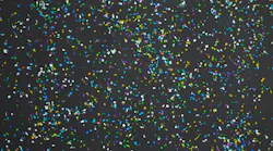 Microplastics in biosolids: An emerging challenge for the urban water cycle