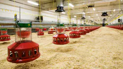 Whistleblower allegations prompt scrutiny of Virginia poultry processor wastewater practices Whistleblower allegations prompt scrutiny of Virginia poultry processor wastewater practices