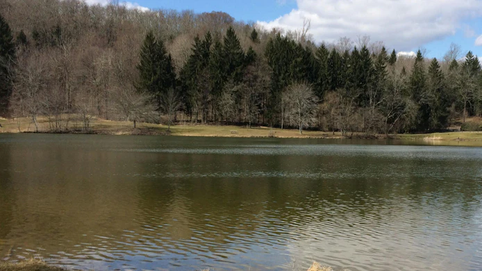 Pennsylvania American Water acquires Westmoreland County wastewater system