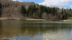 Pennsylvania American Water acquires Westmoreland County wastewater system