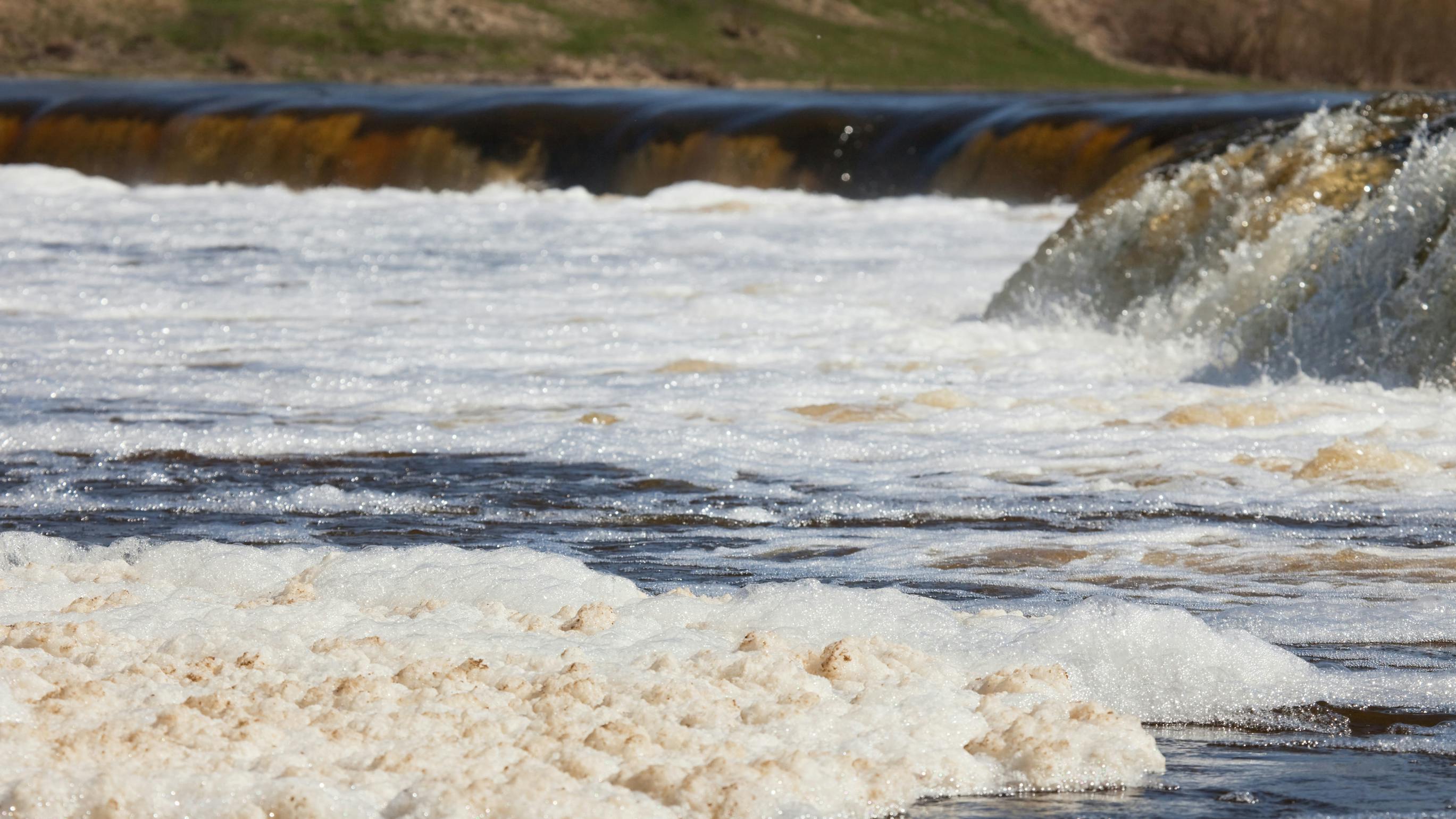Florida DEP orders Trulieve to address wastewater discharges