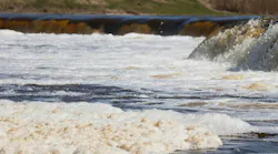 Florida DEP orders Trulieve to address wastewater discharges