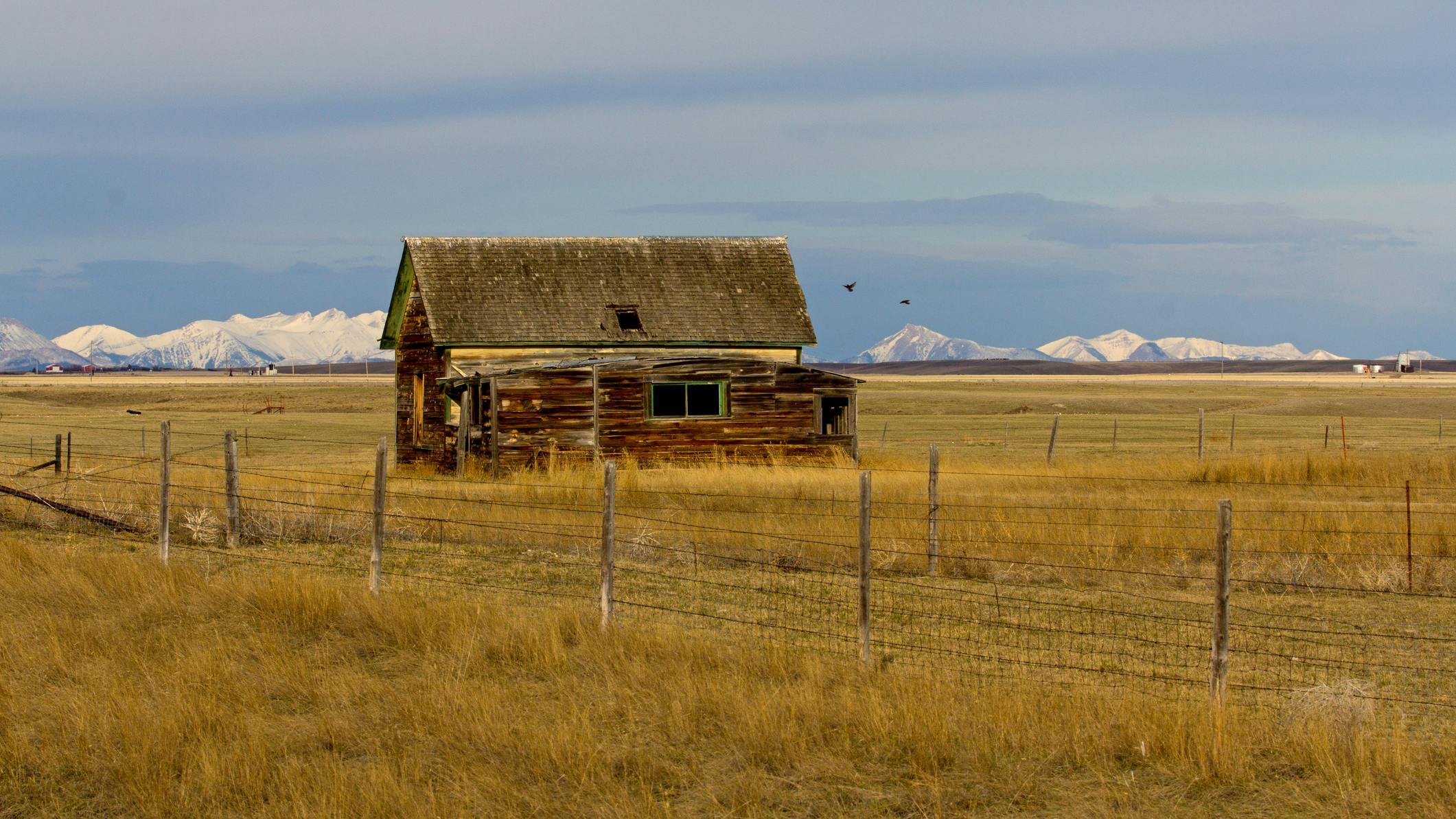 abandoned homestead on the grasslands just west of Conrad, MT