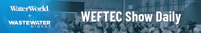 newsletter header style 1